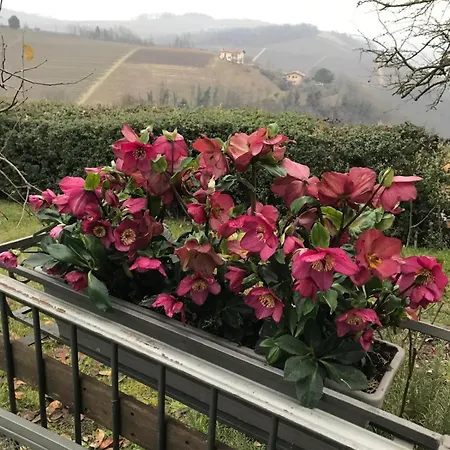 Villa Vialla Biancospino 1